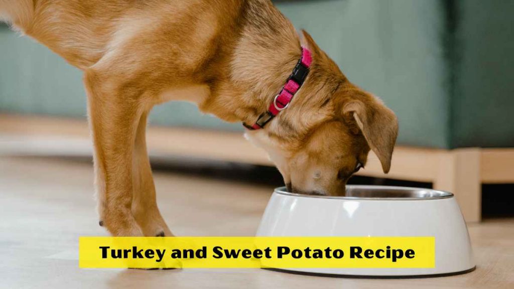 Turkey and Sweet Potato Recipe